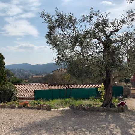 Rez De Villa Peymeinade Esterno foto